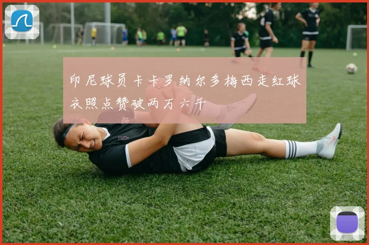 印尼球员卡卡罗纳尔多梅西走红球衣照点赞破两万六千