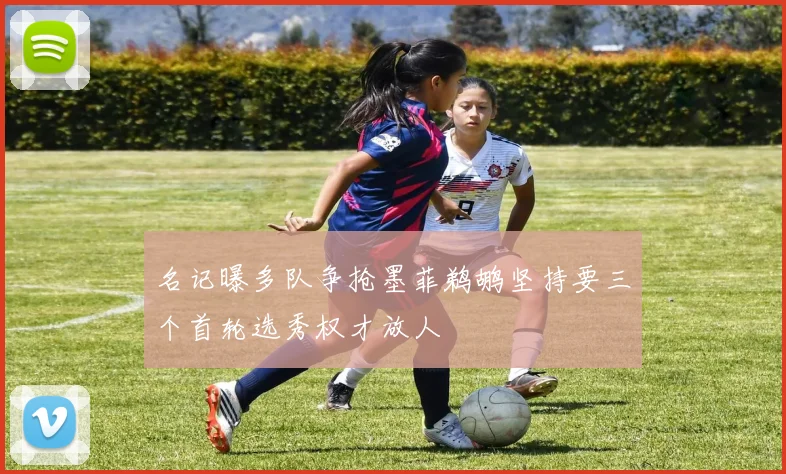 名记曝多队争抢墨菲鹈鹕坚持要三个首轮选秀权才放人
