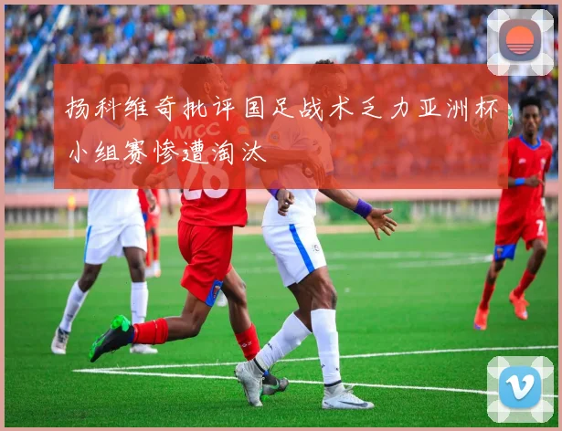 扬科维奇批评国足战术乏力亚洲杯小组赛惨遭淘汰