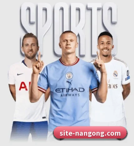 南宫体育围绕看球场景设计的核心服务